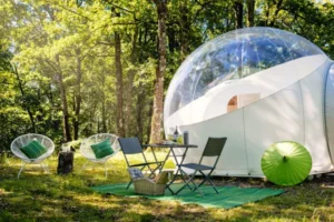 Somn'en Bulle